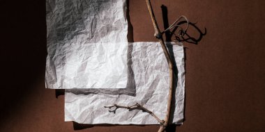 Beyaz bir kağıt ve kuru bir sarmaşık dalına sahip, koyu kahverengi bir arka plan. Üst görünüm, klasik sıcak renklerde rahat minimal biçim, metin için boşluk.