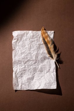 Koyu kahverengi arka plan, boş bir kağıt ve tüy. Üst görünüm, sıcak renklerde minimal konforlu retro biçim, metin için boşluk.