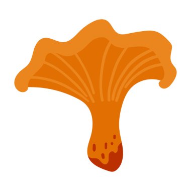 El yapımı Chanterelle Mantar Çizimi Beyaz Arkaplan 'da izole edildi. Sonbahar Ormanı Hasadı. Sonbahar sezonu Flora