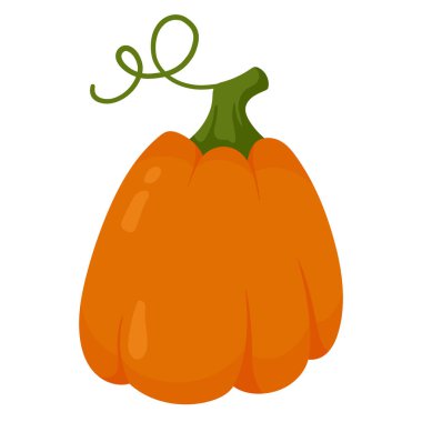 Dekoratif sonbahar balkabağı beyaz arka planda izole edilmiş. Sonbahar hasat kabakları. Sonbahar dekoratif tasarımı için unsur, Cadılar Bayramı, Şükran Günü davetiyesi