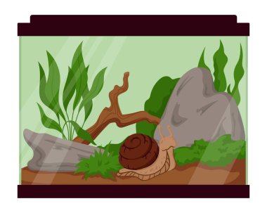 Salyangoz için Teraryum, Kayalar, Orman, Bitkiler ve Toprak Beyaz Arkaplanda İzole Edildi. Achatina Akvaryum Egzotik Hayvan Bakımı Kurumu. Doğa Aşıkları için Vivaryum İllüstrasyonu