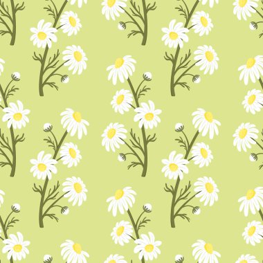 Çiçek dalları açık yeşil arkaplanda çiçek açan papatya çayı deseni. Kumaş, Ambalaj Kağıdı, Tekstil veya Paketleme İçin Şirin Bahar Daisy Çiçek Tasarımı