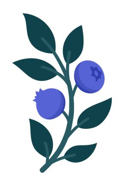 Olgun Böğürtlen ve Yapraklı El Tarağı Böğürtlenleri. Şirin Botanik Paketleme, Mutfak Dekorasyonu, Etiketler, Etiketler, Logolar, Gıda Markaları veya Çiftçi Pazarı