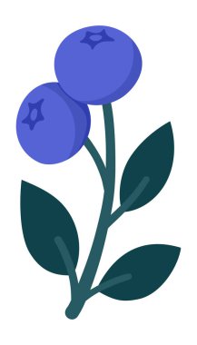 Olgun Böğürtlen ve Yapraklı Şirin Yabanmersini Şubesi. El Çizimi Paketleme, Mutfak Dekorasyonu, Etiketler, Etiketler, Logolar, Çiftçi Pazarı veya Yiyecek Markası Çizimleri