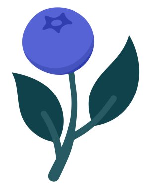 Olgun Böğürtlen ve Yapraklı El Tarağı Böğürtlenleri. Şirin Botanik Paketleme, Mutfak Dekorasyonu, Etiketler, Market, Çiftçi Pazarı, Logolar veya Yiyecek Markası