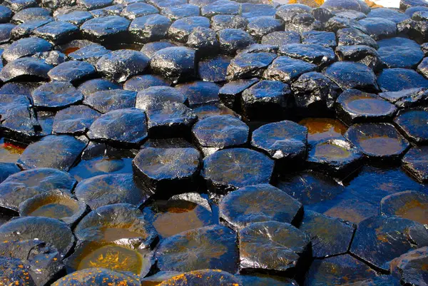 Kuzey İrlanda 'daki Giants Geçidi' nin açıklanamayan doğal taş oluşumları.