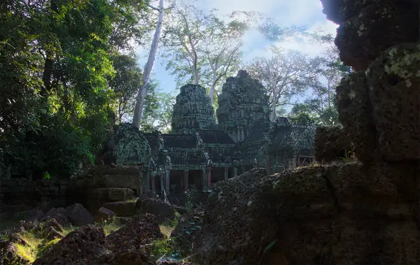 Sunrise 'daki Ta Prohm Tapınağı