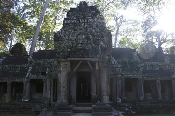 Kamboçya 'daki Antik Ta Prohm Tapınağı