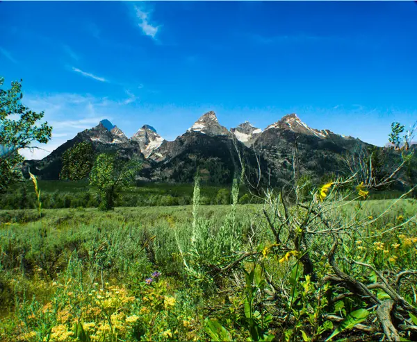 Grand Teton Ulusal Parkı