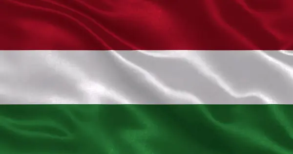 Hungary flag with waving national fabric texture, 3d illustration