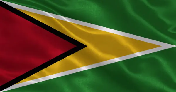 Ulusal kumaş dokusuna sahip Guyana bayrağı, 3 boyutlu illüstrasyon