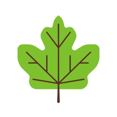 Basit bir yaz yaprağı çizimi. Dekorasyon için düz yaprak illüstrasyonu.