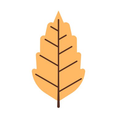 Sonbahar yaprağının basit bir tasviri. Dekorasyon için düz yaprak illüstrasyonu.