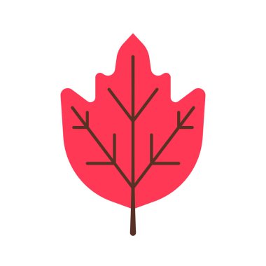 Sonbahar yaprağının basit bir tasviri. Dekorasyon için düz yaprak illüstrasyonu.