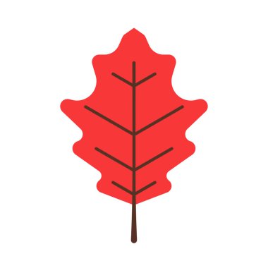 Sonbahar yaprağının basit bir tasviri. Dekorasyon için düz yaprak illüstrasyonu.