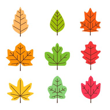 Yaz ve sonbahar yaprakları basit bir şekilde toplanır. Dekorasyon için düz yaprak çizimleri.
