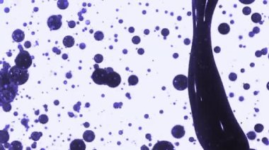 Bir su elementinin yüksek hızlı kamera görüntüsü, siyah arka planda izole edilmiş. Video görüntüleriniz için Çerçeve Karıştırma - Çarpma komutu kullanılarak önceden eşlenebilir.