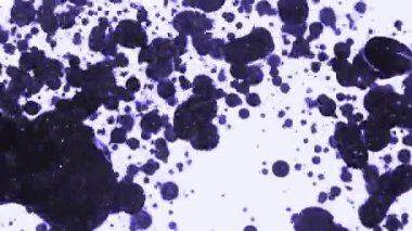 Bir su elementinin yüksek hızlı kamera görüntüsü, siyah arka planda izole edilmiş. Video görüntüleriniz için Çerçeve Karıştırma - Çarpma komutu kullanılarak önceden eşlenebilir.