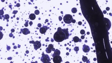 Bir su elementinin yüksek hızlı kamera görüntüsü, siyah arka planda izole edilmiş. Video görüntüleriniz için Çerçeve Karıştırma - Çarpma komutu kullanılarak önceden eşlenebilir.