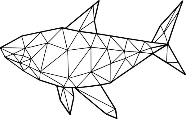 Yüksek Kalite Çokgen Köpekbalığı Vektörü