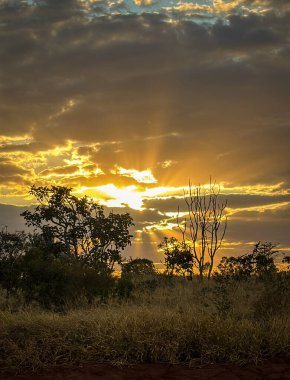 Günbatımı Masai Mara Ulusal rezerv
