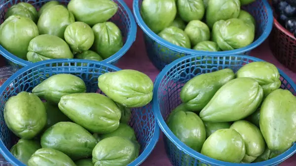 stock image chayote that has just been harvested and collected in a basket