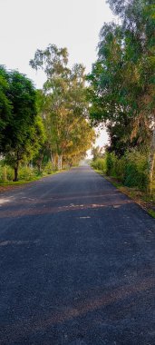 Görüntü, her iki tarafında ağaçlar olan uzun ve düz bir yolu gösteriyor. Yol asfaltla kaplanmış ve boş görünüyor. Yalnızlık ve sükunet hissi yaratıyor.. 