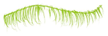 Yeşil kalem vuruşları basit, beyaz arkaplanda izole.