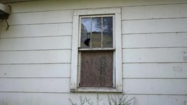 Batı Virginia 'da kömür madenciliği kasabasında terk edilmiş bir evde kırık bir pencere..