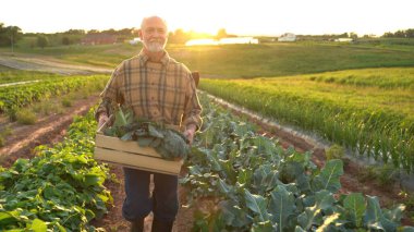 Portrait of senior caucasian good looking wise man farmer looking at the side, turning face to the camera in a field.