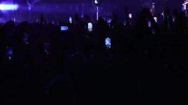 Sahne ışıkları altında kalabalık zıplıyor ve el sallıyor. Hayranlar ellerini havaya kaldırmış, parlak mavi bir şekilde sahne arkasında hareket ediyorlar. Festivaldeki mutlu insanlar müziğin tadını çıkarıyor