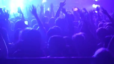 Sahne ışıkları altında kalabalık zıplıyor ve el sallıyor. Hayranlar ellerini havaya kaldırmış, parlak mavi bir şekilde sahne arkasında hareket ediyorlar. Festivaldeki mutlu insanlar müziğin tadını çıkarıyor