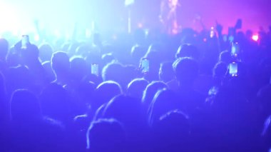 Sahne ışıkları altında kalabalık zıplıyor ve el sallıyor. Hayranlar ellerini havaya kaldırmış, parlak mavi bir şekilde sahne arkasında hareket ediyorlar. Festivaldeki mutlu insanlar müziğin tadını çıkarıyor