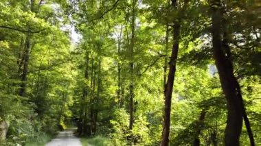 WV, Whitesville 'in dışında Batı Virginia' da bir kırsal alanda toprak yollar..