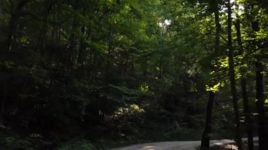 WV, Whitesville 'in dışında Batı Virginia' da bir kırsal alanda toprak yollar..