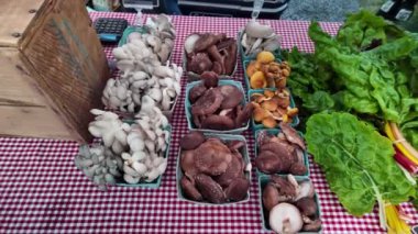 Çeşitli domateslerle dolu altı küçük sepetin yakın çekimi. Sepetler kırmızı ve beyaz kareli masa örtüsü üzerine dizilmiştir.. 