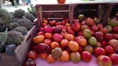 Ahşap sandıklarda olgun karpuzların sergilendiği bir market tezgahının kapanışı. Önplanda bir yığın kırmızı domates var, renk katıyor..