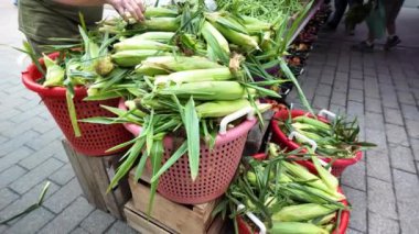 Taze ürünlerle dolu bir market tezgahının yakın görüntüsü, mavi kasalarda patatesler, ahşap kutularda kabak ve başka bir tahta sandıkta yeşil ve turuncu dolma biberler..