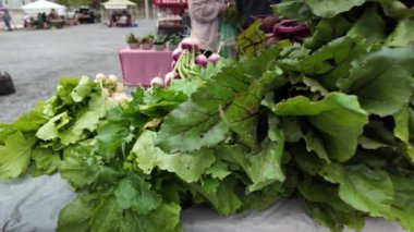 Bir market tezgahında, yeşil bluzları olan pancar demetinin yanı sıra yapraklı yeşillikler ve çok sayıda lahana başları da dahil olmak üzere taze ürünler sergileniyor..