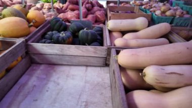 Tatlı patatesler, kabaklar ve balkabakları da dahil olmak üzere çeşitli taze ürünleri ahşap sandıklara yerleştirilmiş bir market tezgahı..