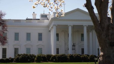 Vişne çiçekleri, Washington DC 'deki ikonik Beyaz Saray' ı çerçeveleterek, federal hükümet aktif kalmaya devam ederken kış ve bahar mevsimlerinin karışımını gözler önüne seriyor..