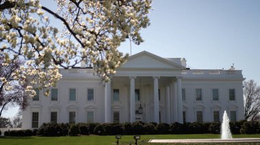 Washington DC 'deki Beyaz Saray' ın etrafını saran güzel bahar çiçekleri federal hükümetlerin ikonik ikametgahlarını ilkbaharın başlarında açık mavi bir gökyüzü altında sergiliyor..