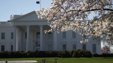 Kiraz çiçekleri, parlak bir bahar gününde Washington DC 'deki zarif Beyaz Saray' ı çerçeveleterek federal hükümetlerin ikonik mimarisini ve bereketli çevresini vurguluyor..