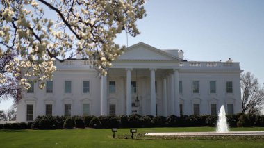 Beyaz Saray, çiçek açan çiçeklerle çevrili Washington DC 'de görkemli bir şekilde duruyor. Açık bir bahar gününde federal binaya bir çeşme zarafet katar..