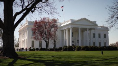 Beyaz Saray, Washington DC 'deki ilkbaharın güzelliğini yansıtan açık mavi gökyüzünün altında, ön planda çiçek açan ağaçlarla görkemli bir şekilde duruyor..