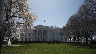 Bahar çiçekleri Washington DC 'deki Beyaz Saray' ı çevreleyerek, bahar başlarında bu ikonik federal binada güneş parlarken canlı bir manzara sergiliyor..