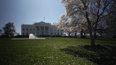 Washington DC 'deki Beyaz Saray' ın etrafını saran ağaçlar baharın güzelliğini vurguluyor. Güneş parlıyor, ziyaretçileri manzaranın tadını çıkarmaya davet ediyor..