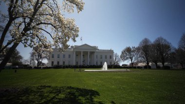 Beyaz Saray 'ın yakınındaki parlak bahar çiçekleri federal binayı aydınlatırken baharın başlarında Washington DC' nin güzelliğini vurguluyor..
