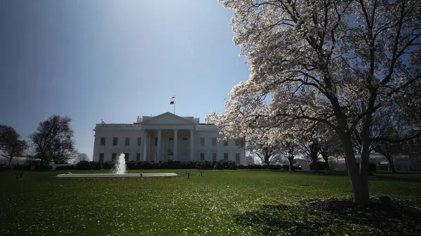 Beyaz Saray belirgin bir şekilde çiçek açan kiraz çiçekleri ve açık mavi gökyüzü ile Washington DC 'nin kalbinde baharın güzelliğini gözler önüne seriyor..