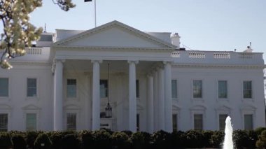Beyaz Saray Washington DC 'de belirgin bir şekilde duruyor. Klasik mimarisini sergiliyor. Çiçek açan ağaçlar ve açık bahar gökyüzü karşısında..
